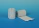 GIPSAN Gipsbinden 20 cmx3 m 2 St | 67170 | MAIME