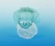 MAIMED Beard Bartschutz blau aus Vlies 100 St | 75014 | MAIME