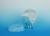 MAIMED Cap MSH Mtze m.Schirm u.Haarnetz blau 100 St | 75228 | M